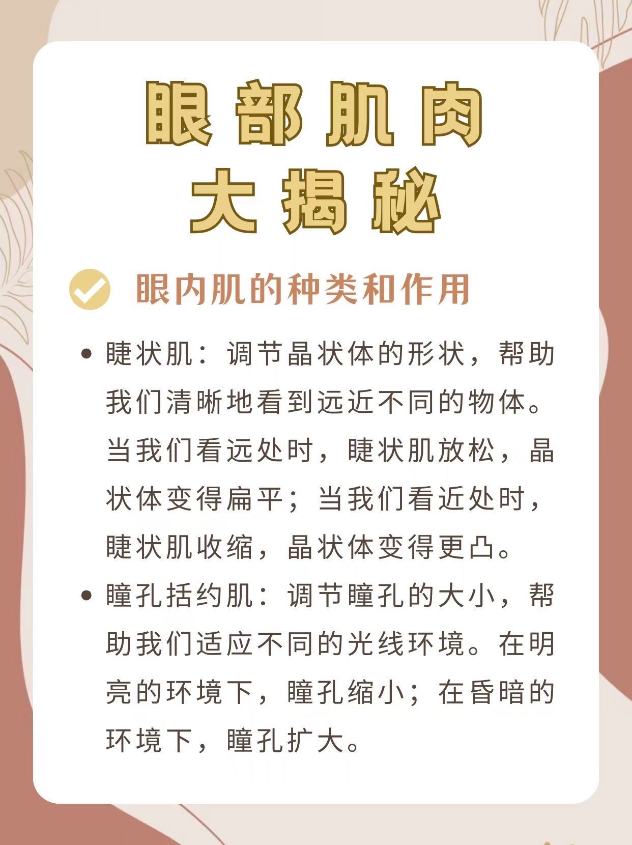 98眼部肌肉大揭秘:眼外肌和眼内肌的奥秘97