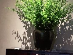 -山里亲戚(淞虹路店)