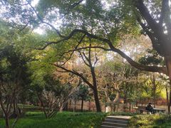 -徐家汇源景区-衡山公园