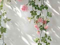 -霖公馆SPA·足道(普善路店)