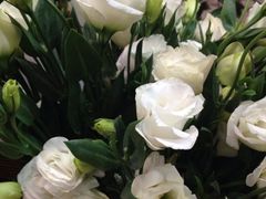 -爱尚幸福鲜花(上地实体店)