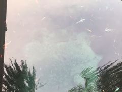-教师之家赵家羊汤馆(东青龙街店)