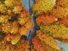 -桤木河湿地公园