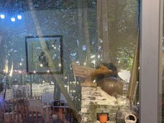 -陶缘一号·四季缘·老字号顺德菜·户外婚礼家宴(西滘店)