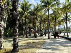 -深圳湾公园(南山区)