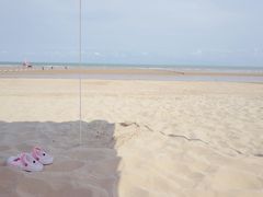 -日照海滨国家森林公园