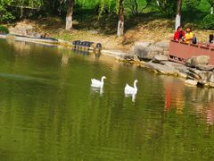 -鹦鹉寺公园