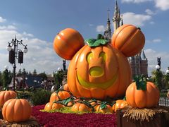 -上海迪士尼度假区