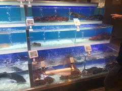 -盒马鲜生(枣园路店)
