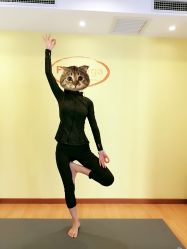 点击看大图 -FineYoga梵音瑜伽·普拉提