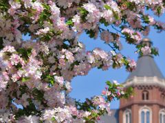 -利顺德大饭店·维多利亚花园(小白楼店)