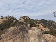 -大岭沟猕猴桃谷风景区