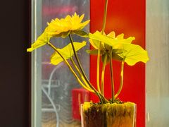 -肆月河豚·新淮扬菜·烤鸭(中关村店)