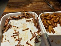 -柿子树炭烤羊腿(金台路店)