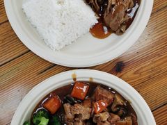-广州长隆飞鸟乐园
