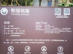 -都江堰中华大熊猫苑