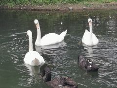 -长白岛森林公园