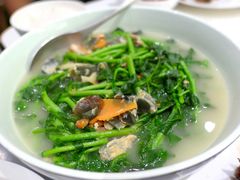 上汤枸杞叶-花城苑广府菜(侨鑫店)