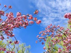-石家庄市植物园