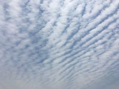 -上海望仙安息园