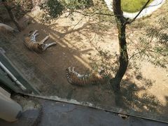 -泉州海丝野生动物世界