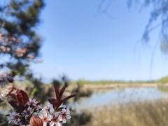 -野鸭湖国家湿地公园