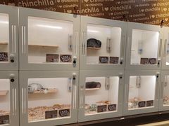 -龙猫仔乐园(惠福东路店)