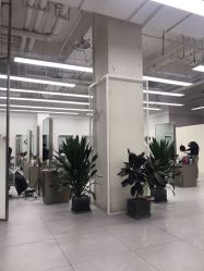 -P.STYLE派斯造型