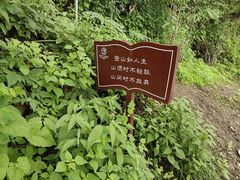 -终南山南五台景区