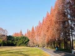 -采石矶景区