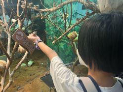 -Zoolung Zoolung动物主题公园(海信广场店)