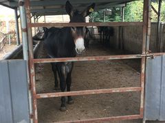 门面-元鼎宝驴香·全驴宴(江宁店)