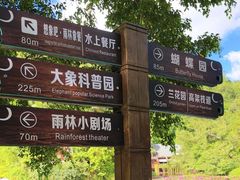 -野象谷景区