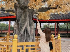 -广东圆玄道观