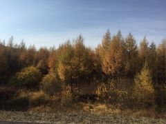 -塞罕坝国家级自然保护区