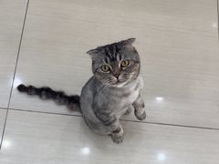 -全心全意连锁动物医院·微创中心·内科急重症·心脏专科(丰管路店)