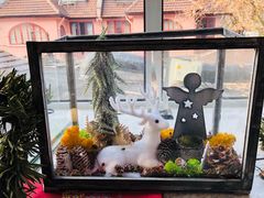 -蝶舍·MAISON PAPILLON