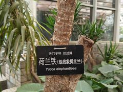 -石家庄市植物园
