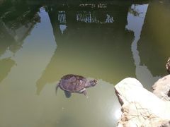 -水浒好汉城