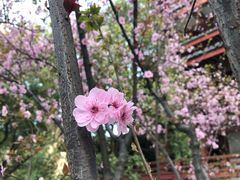 -陈武帝故宫