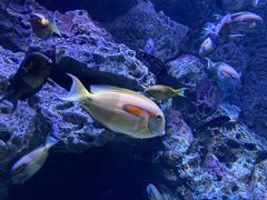 -成都浩海立方海洋公园