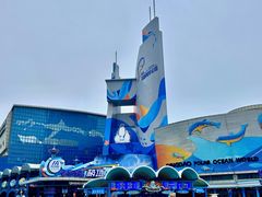 -海合安青岛极地海洋公园