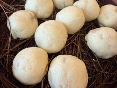 -佬钱湾仔(衣裳街店)