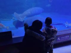 -烟台海昌鲸鲨海洋公园