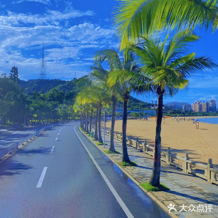 珠海观光巴士