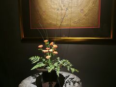 -觀芷隐轩