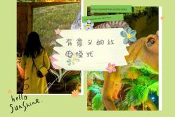 -恐龙探索乐园(磁器口店)