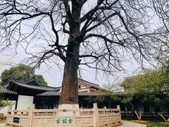 -常熟方塔园