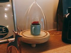 -COFFELIZ COFFEE