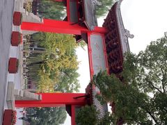 -四川大学(望江校区)